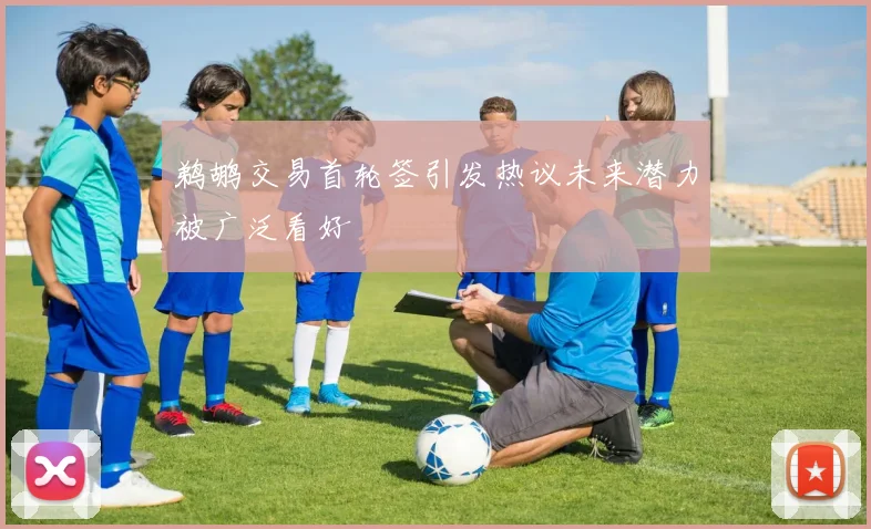 鹈鹕交易首轮签引发热议未来潜力被广泛看好