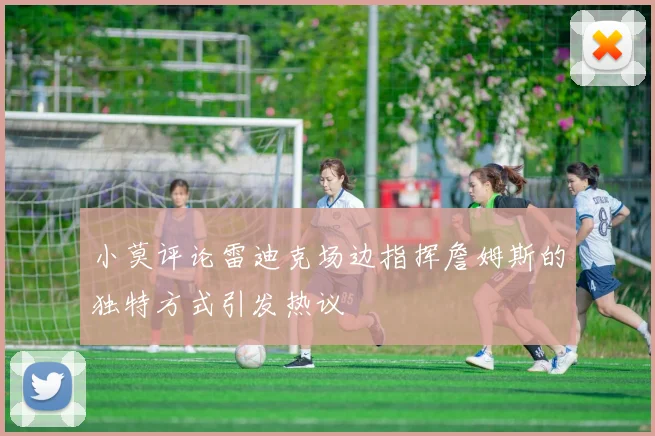 小莫评论雷迪克场边指挥詹姆斯的独特方式引发热议